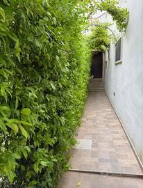 Appartamento a Mesagne