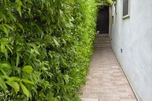 Appartamento a Mesagne