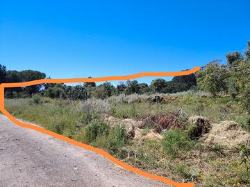 Terreno agricolo