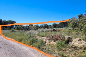 Terreno agricolo