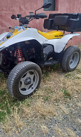 Polaris trailblazer 250 2t del 2000
