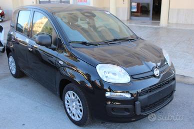 FIAT Panda 1.0 FireFly 65 CV Hybrid Icon-KM0