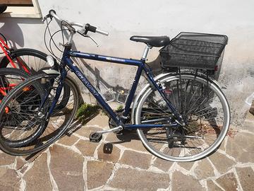 bici uomo