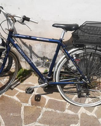 bici uomo