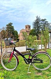 Bicicletta  da ragazzina