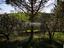 Immagine 25