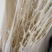 Pizzaiolo/fornaio con alloggio