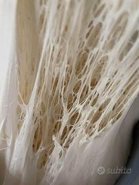 Pizzaiolo/fornaio con alloggio