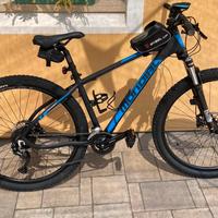Bici monta bike Mondial