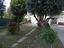 Immagine 10