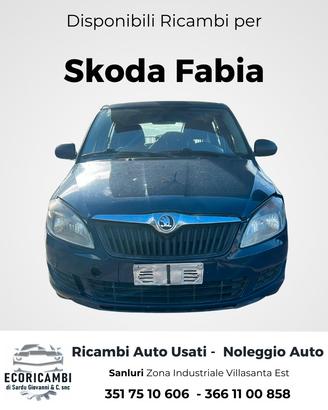 Skoda Fabia anno 2013