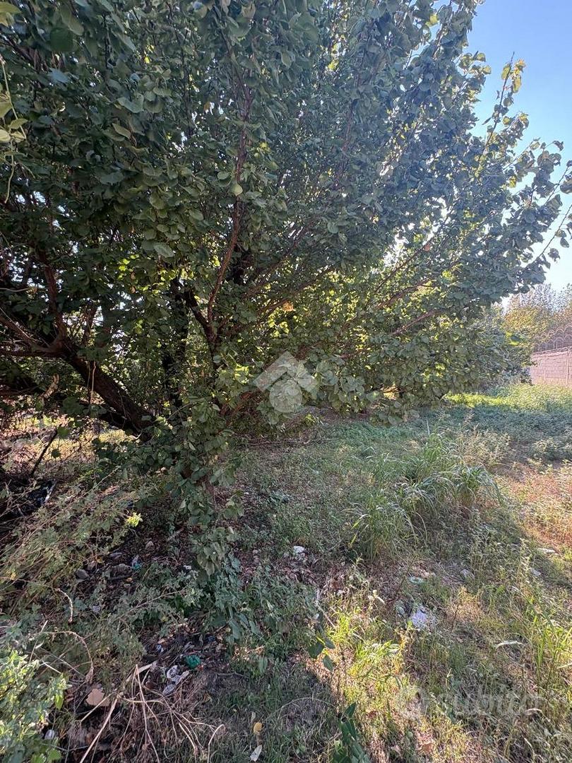 TER. RESIDENZIALE A AFRAGOLA - Vista 2