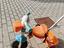 Immagine 1