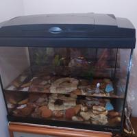 acquario 80litri