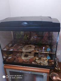 acquario 80litri
