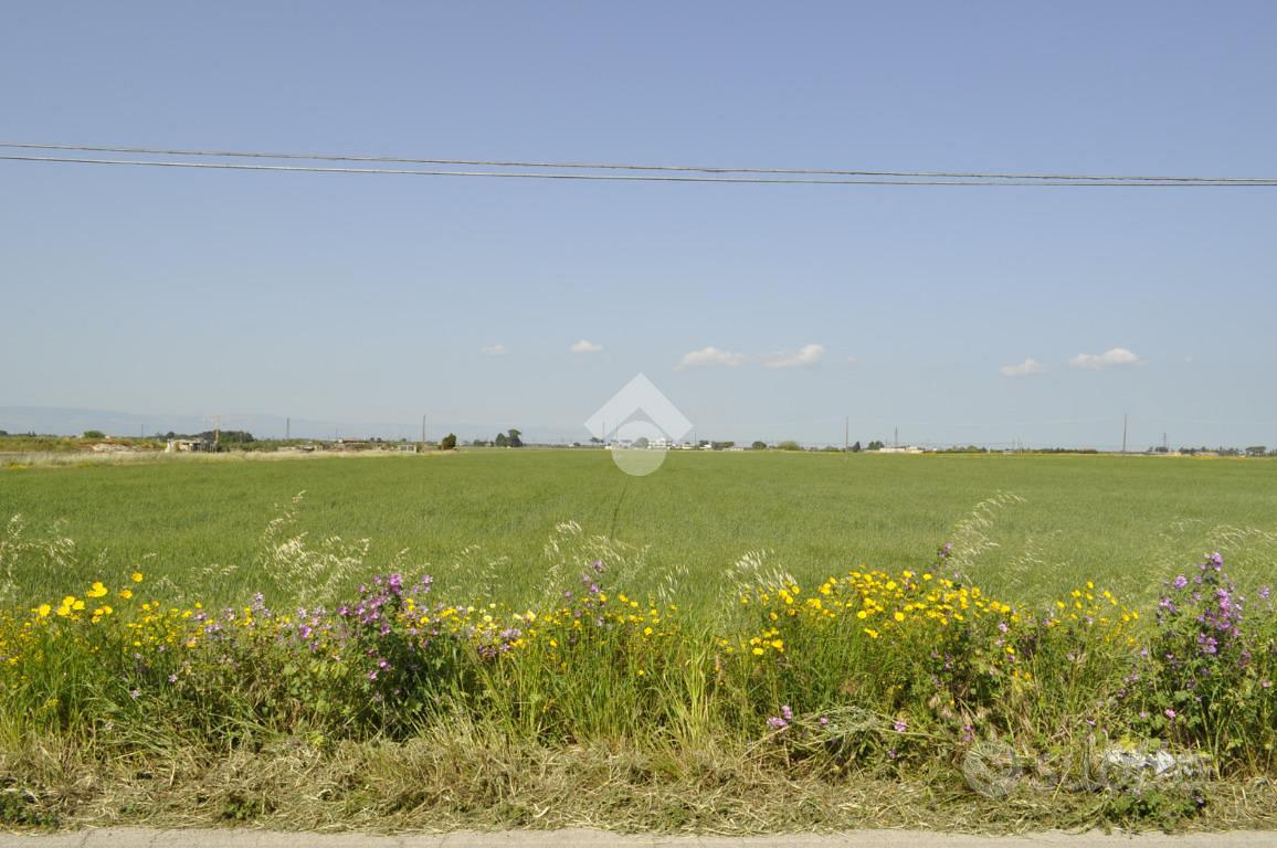 TER. AGRICOLO A FOGGIA - Vista 5