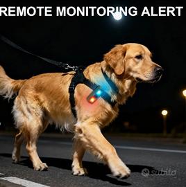 Luce da corsa usb-c ricaricabile 7 modalità 