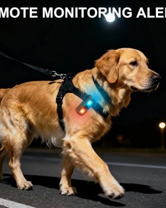 Luce da corsa usb-c ricaricabile 7 modalità 