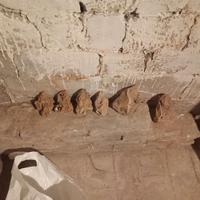 Sassi in calcare rosa di Mendicino