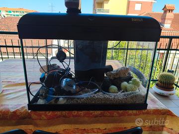 Acquario 