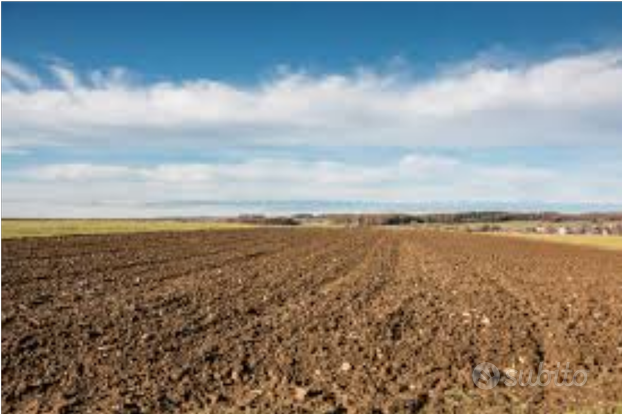 Terreno agricolo