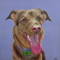 Quadri cani o gatti personalizzabili