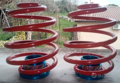 Molle posteriori ribassate con ghiera