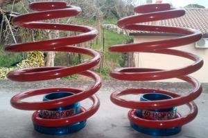 Molle posteriori ribassate con ghiera