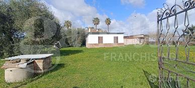 Appartamento Nettuno [Cod. SPAVENTAVRG]