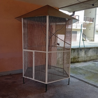Voliera