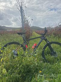 Mtb olmo bibione