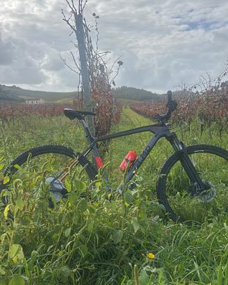 Mtb olmo bibione