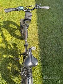 Bicicletta elettrica