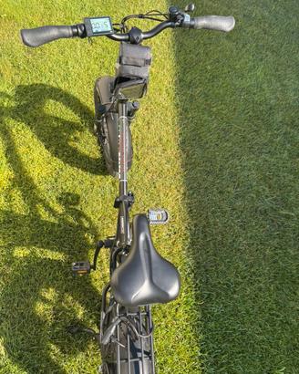 Bicicletta elettrica