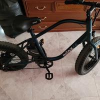 Bici Elettrica