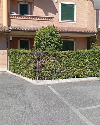 Appartamento zona gabelletta