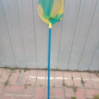 Retino bambini, pesci, insetti