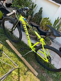 Bici Mountain Bike