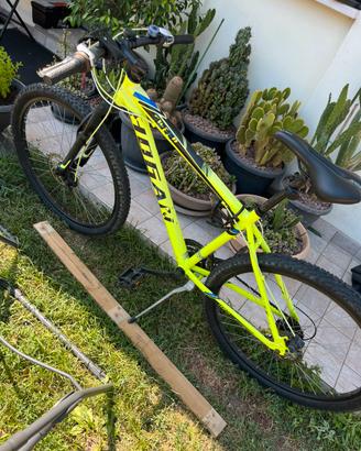 Bici Mountain Bike