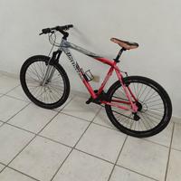 Mountain bike Bottecchia