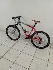 Mountain bike Bottecchia