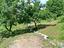 Immagine 26