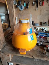 incubatrice cova tutto 16l