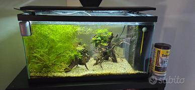 Acquario  60 LT + Mobiletto e accessori