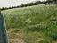 Immagine 11