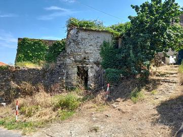 RUSTICO A DIANO ARENTINO