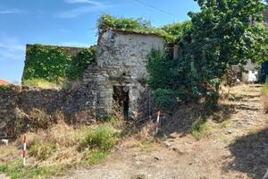 RUSTICO A DIANO ARENTINO