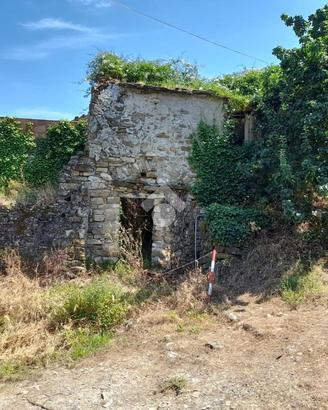 RUSTICO A DIANO ARENTINO