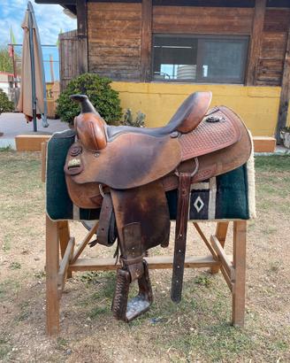 Sella Western Big Horn