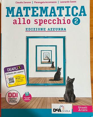 matematica allo specchio 2  9788853806352